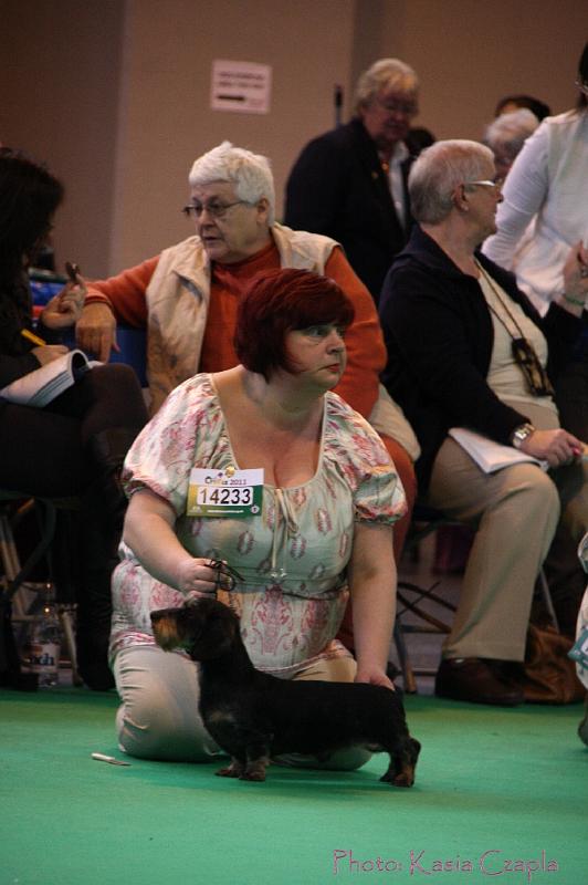 Crufts2011_2 550.jpg